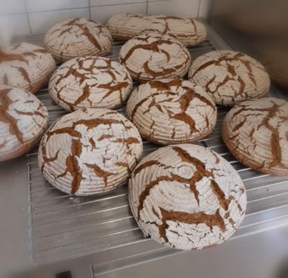 Picture of 1/2 Bio-Roggenbrot