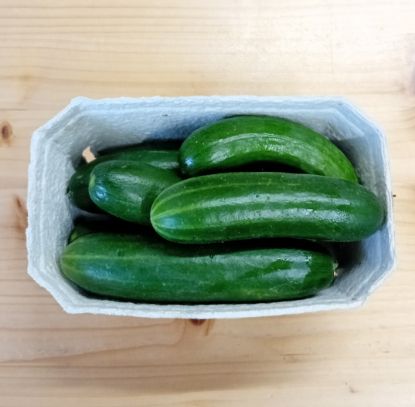 Picture of Snack Gurken 0,5 kg