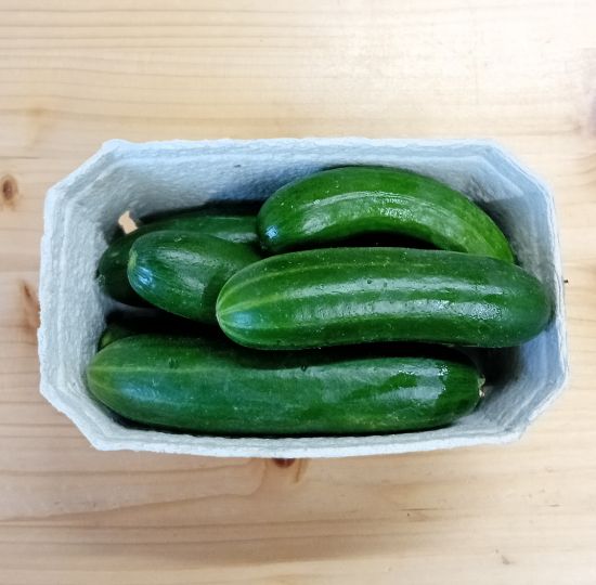 Picture of Snack Gurken 0,5 kg