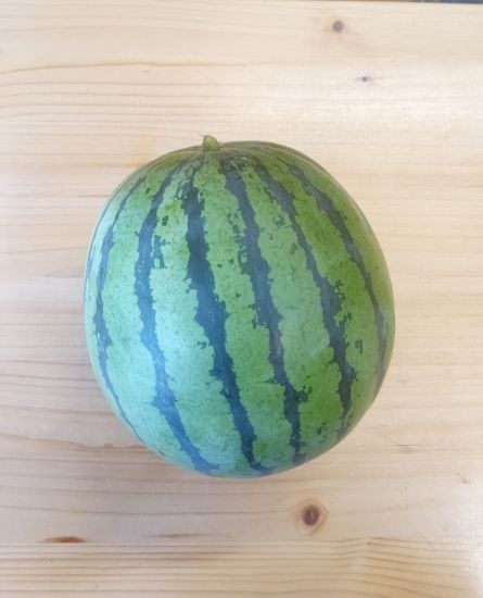 Bild von Mini Wassermelonen p.Stk.